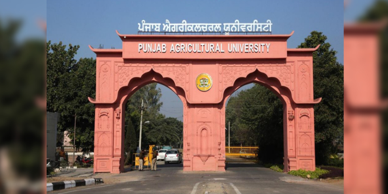 Agriculture University